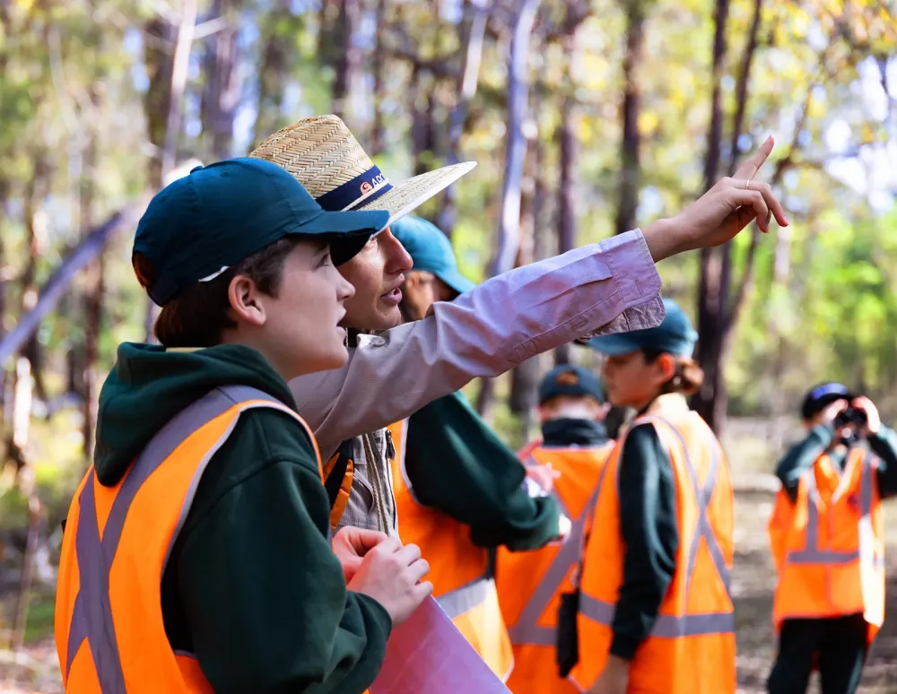 06_forest-safety-team.webp